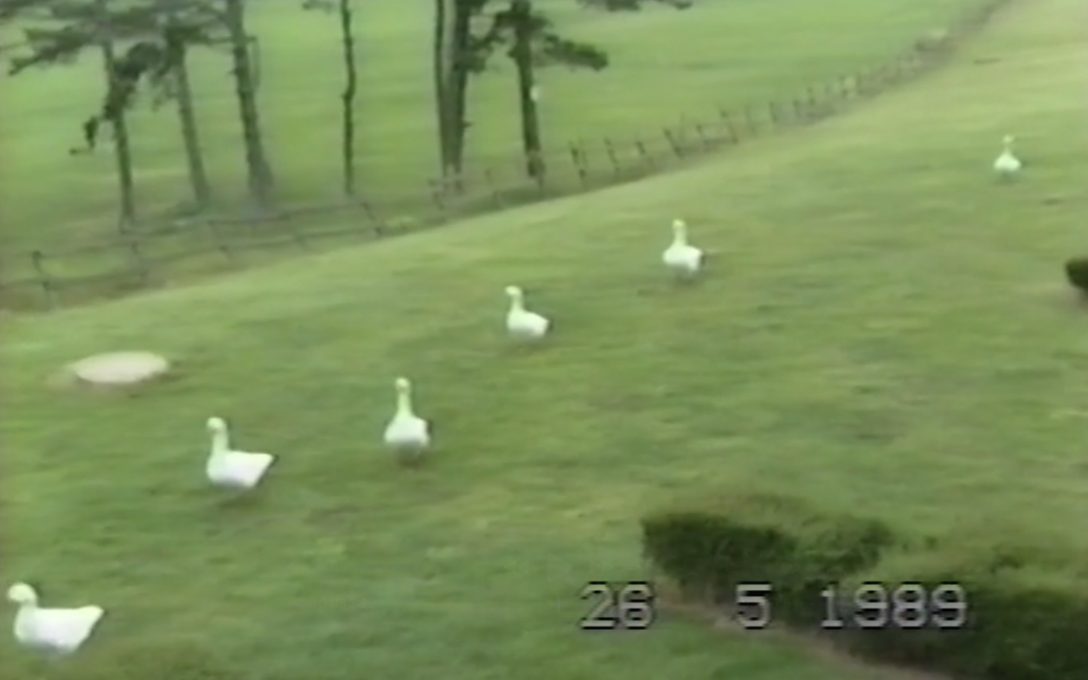 Digital Preservation Ducks
