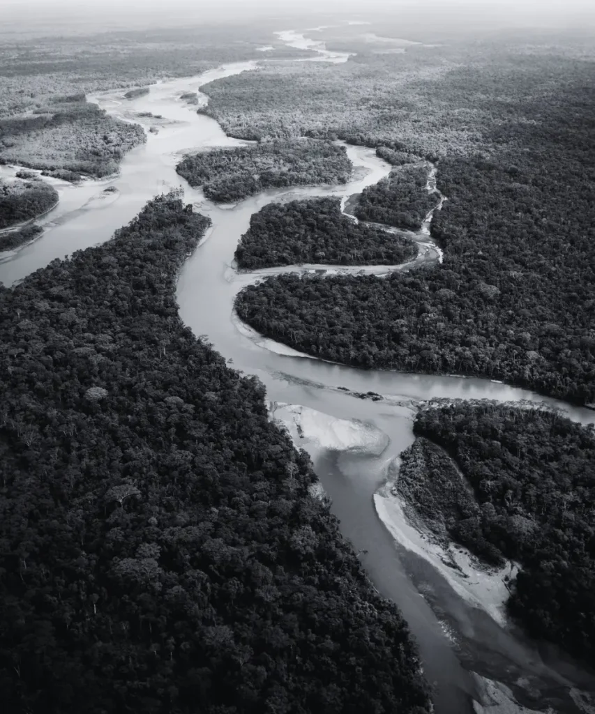 Aerial view of rivers